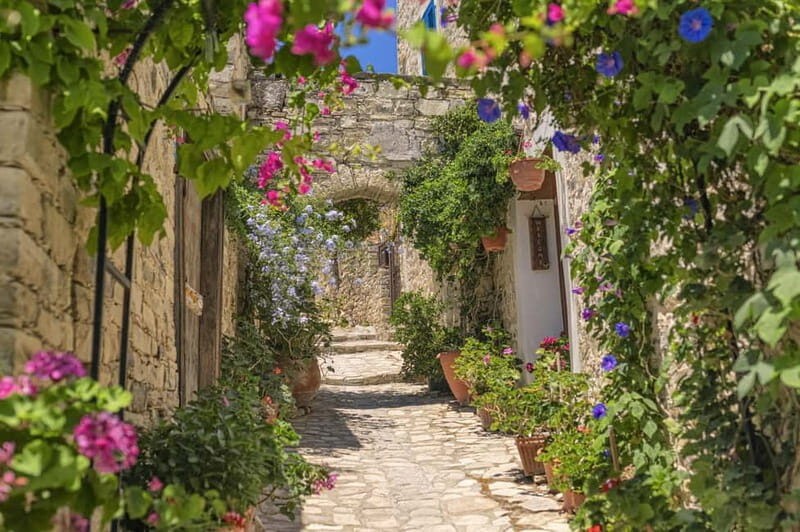 From Pafos/Limassol: Tastes of Cyprus Tour in Polish - An Introduction to the Tastes of Cyprus Tour