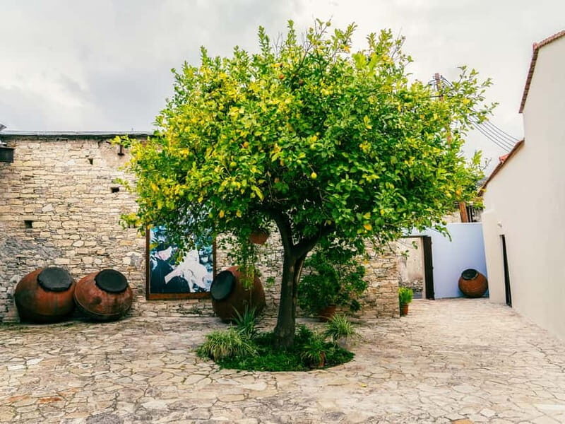 From Pafos/Limassol: Tastes of Cyprus Tour in Polish - The Sum Up