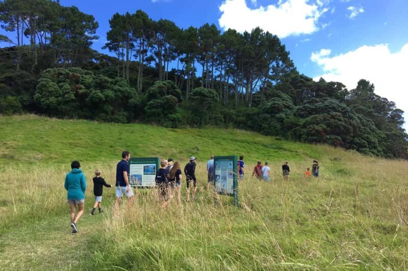 From Paihia: Scenic Cruise with Roberton Island Stopover - Why This Tour Works Well