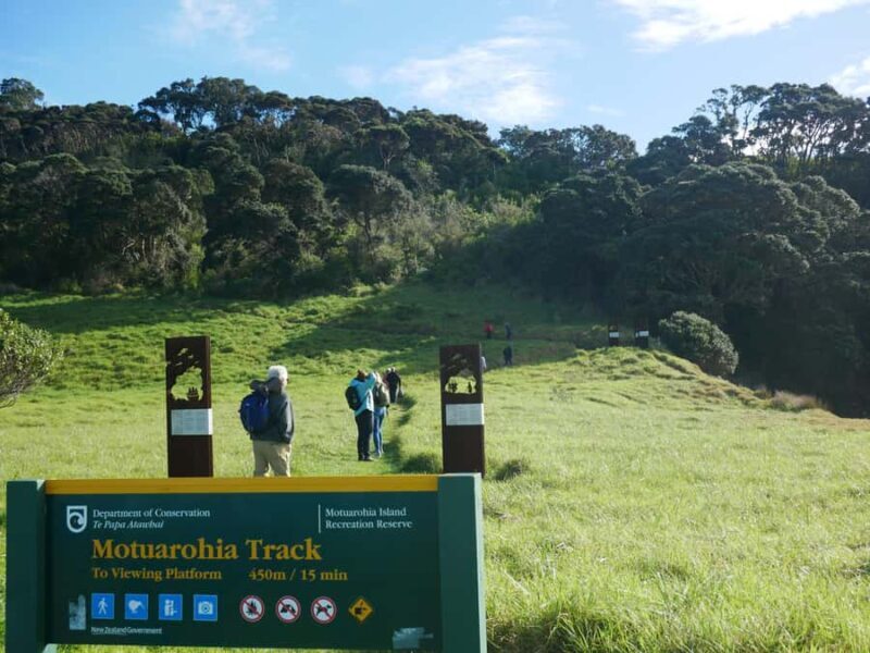 From Paihia: Scenic Cruise with Roberton Island Stopover - Final Thoughts