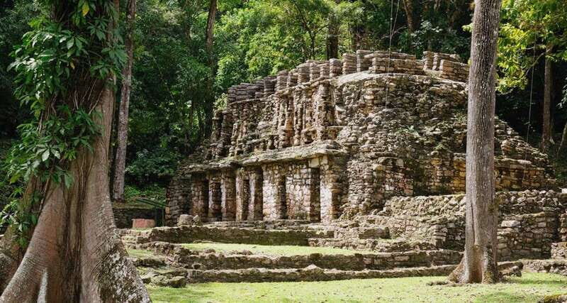 From Palenque: Bonampak & Yaxchilán - Who Should Consider This Tour?