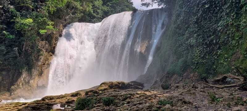 From Palenque: El Salto Waterfall Private Tour - Who Would Love This Tour?