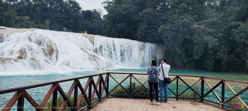 From Palenque: Palenque, Agua Azul Waterfalls and Misol-Ha - Exploring the Palenque, Agua Azul, and Misol-Ha Tour: A Genuine Look