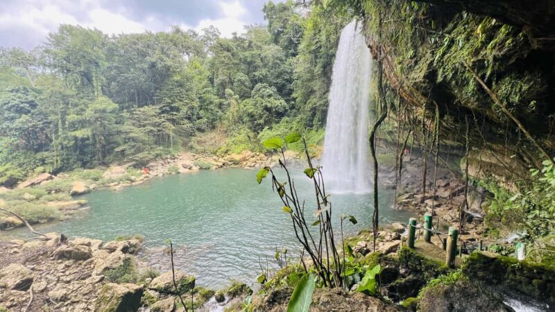 From Palenque: Palenque, Agua Azul Waterfalls and Misol-Ha - What Do the Reviews Say?