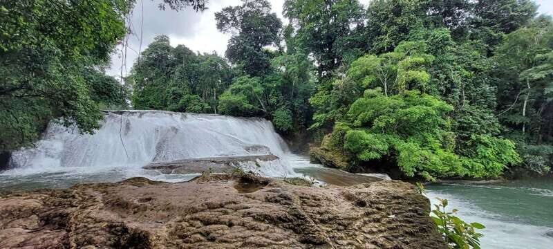 From Palenque: Palenque and Roberto Barrios Waterfalls Tour - Key Points
