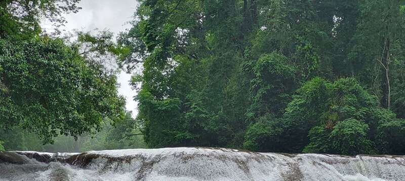 From Palenque: Palenque and Roberto Barrios Waterfalls Tour - An Overview of the Itinerary