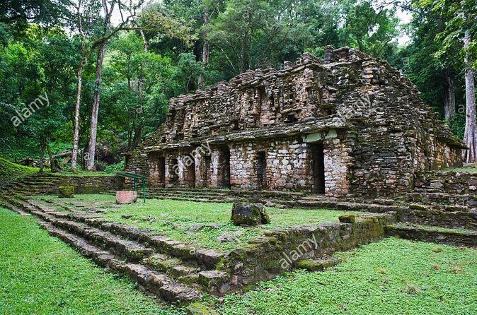 From Palenque to Bonampak - Yaxchilan Selva 1 day - Practical Tips for Participants
