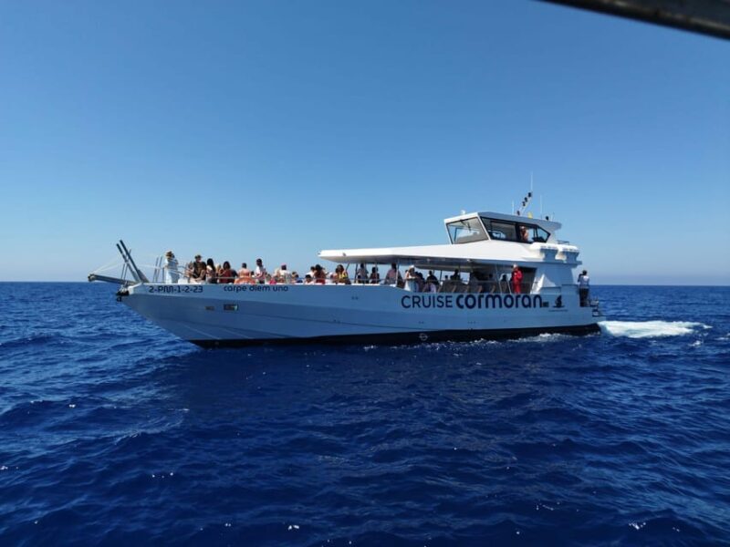 From Palma: 3-Hour Morning Dolphin Watching Boat Tour - An In-Depth Look at the Dolphin Watching Tour