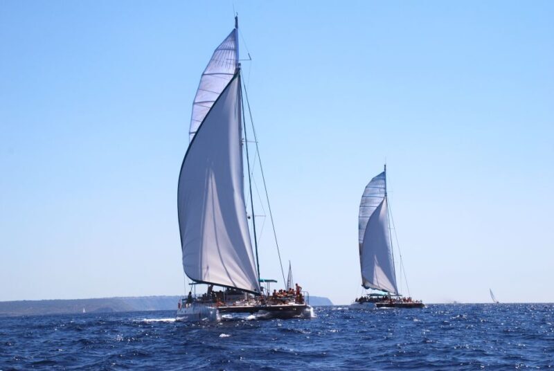 From Palma de Mallorca: Boat Cruise to Illetes - Authenticity and Extra Details