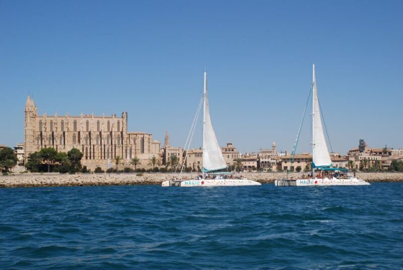 From Palma de Mallorca: Boat Cruise to Illetes - Who Will Love This Tour?