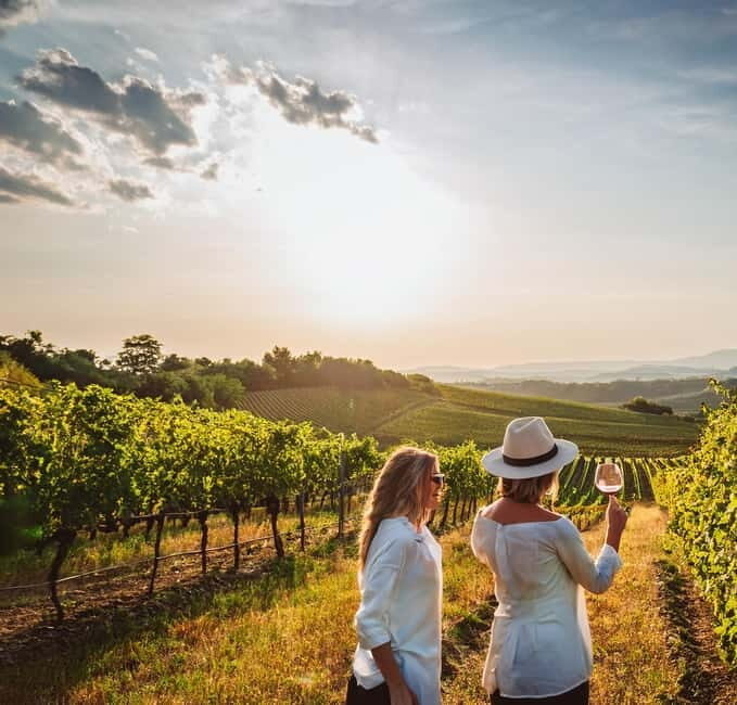 From Palma de Mallorca: Private Wine and Local Flavors Tour - The Experience: An In-Depth Look