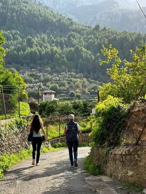 From Palma: Sierra de Tramuntana Hiking with small Picnic - Discover the Beauty of Sierra de Tramuntana on a Guided Hike from Palma