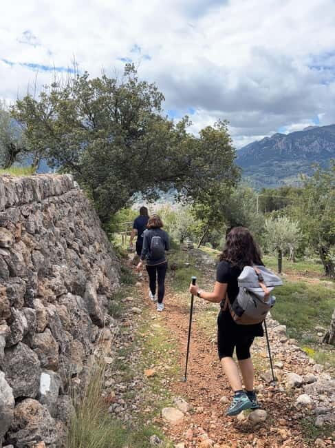 From Palma: Sierra de Tramuntana Hiking with small Picnic - Why This Tour Stands Out