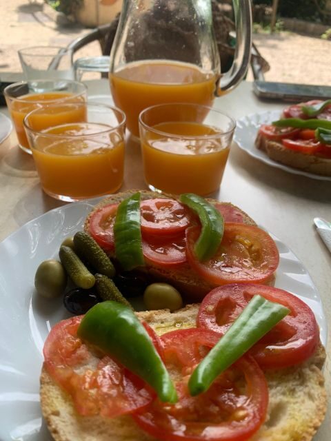 From Palma: Soller valley walk and picnic in orange farm - In-Depth Review of the Soller Valley Walk and Picnic Tour