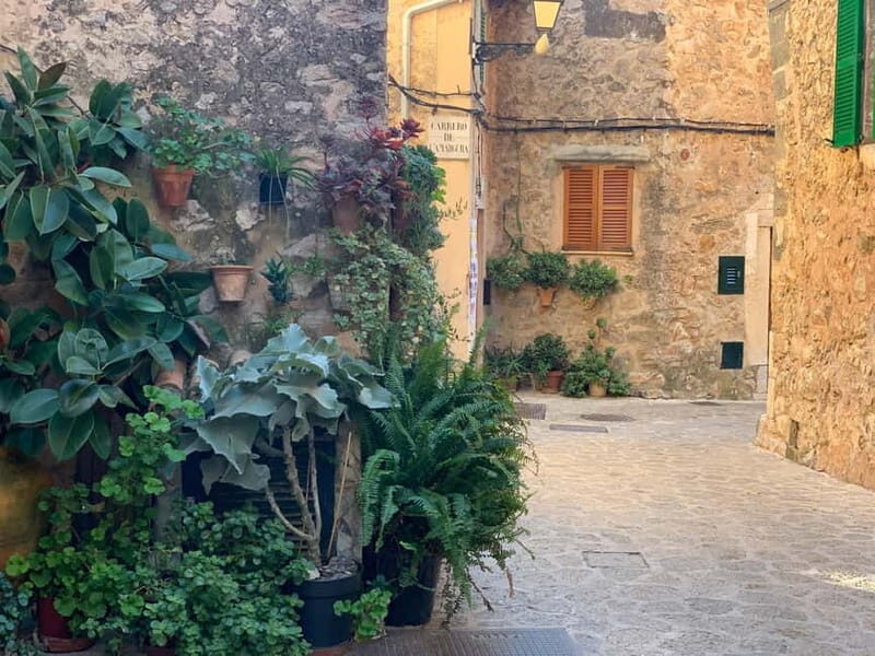 From Palma: Valldemossa Tour and Mountain Viewpoint Hike - A Closer Look at the Itinerary: What to Expect