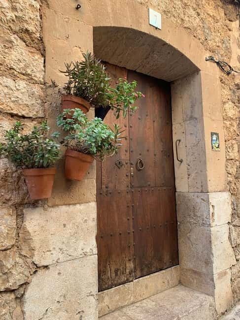From Palma: Valldemossa Tour and Mountain Viewpoint Hike - Who Will Love This Tour?