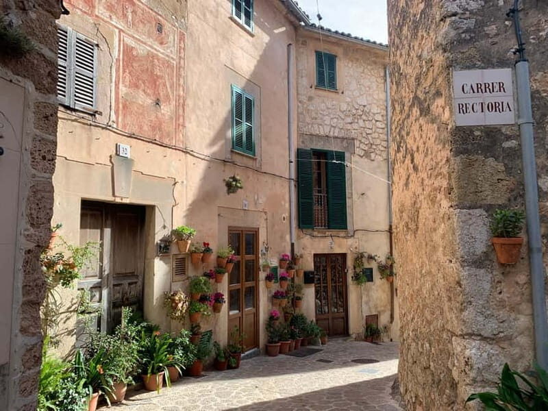 From Palma: Valldemossa Tour and Mountain Viewpoint Hike - Final Thoughts