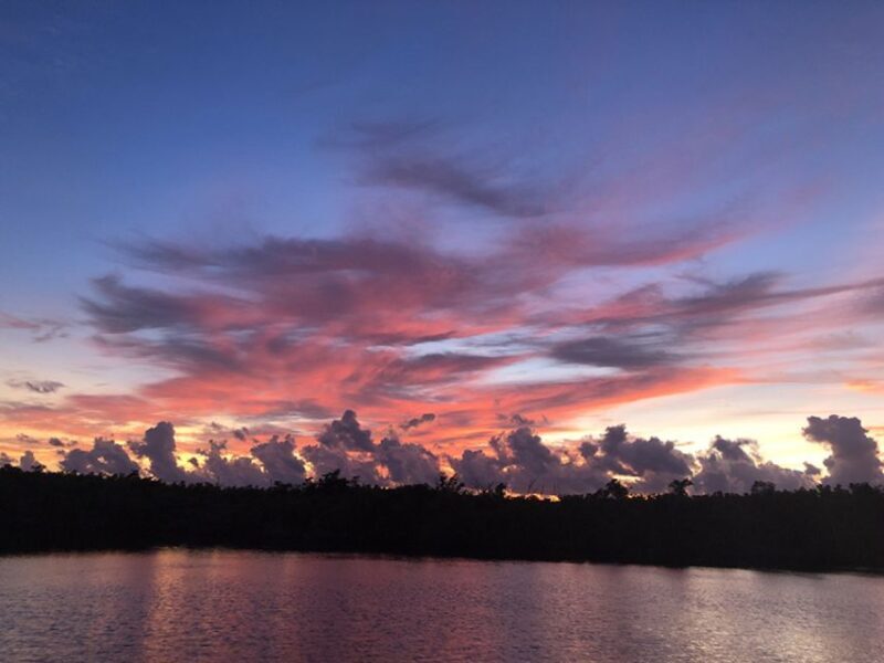 From Panama City, FL: Shell Island Ferry - Exploring the Shell Island Experience