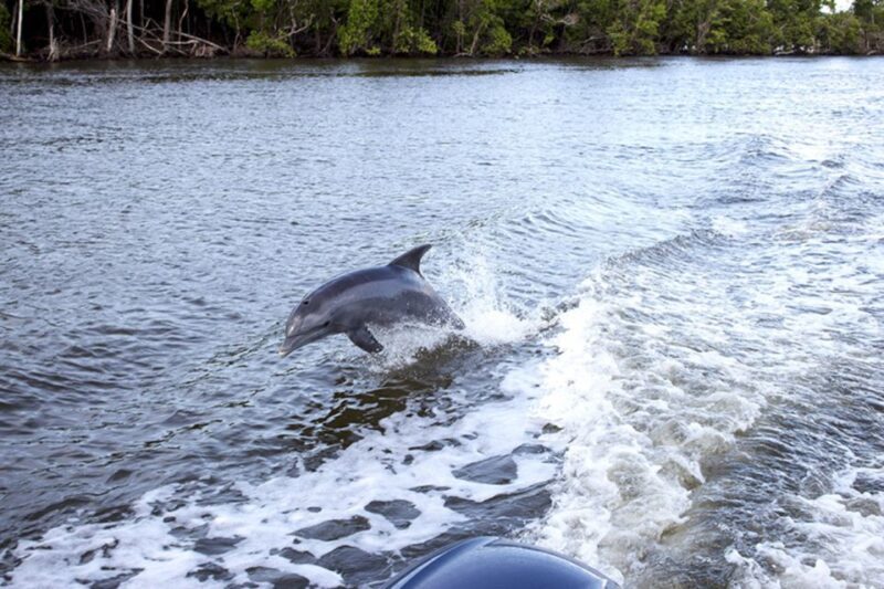From Panama City, FL: Shell Island Ferry - Practicalities and Considerations