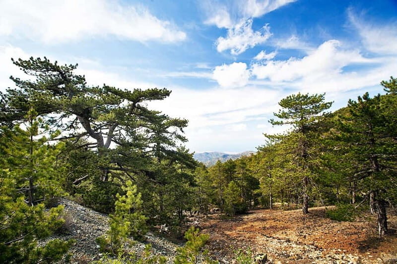 From Paphos: Caledonia Waterfalls Walking Tour with Lunch - The Itinerary in Detail