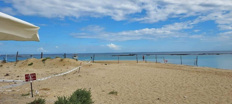 From Paphos: Famagusta, Salamis, and Varosha Walking Tour - Practical Details and What to Expect
