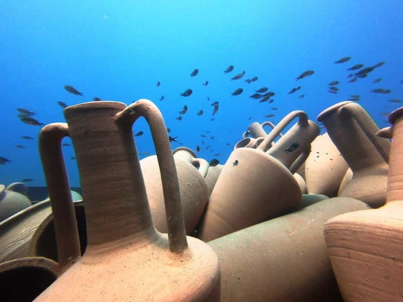 FROM PAPHOS: Snorkeling at the Marine Park (shore) - A Closer Look at the Snorkeling Experience