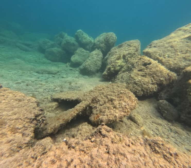 FROM PAPHOS: Snorkeling at the Marine Park (shore) - The Sum Up