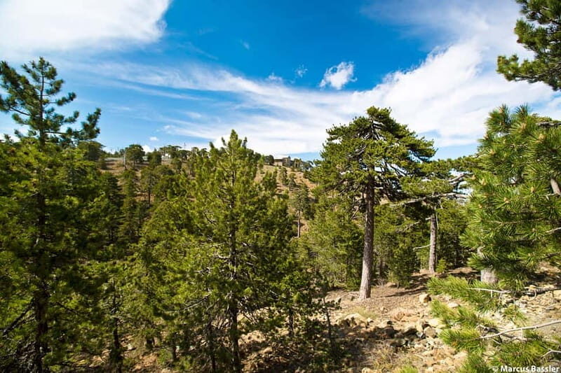 From Paphos: Troodos Kykkos Jeep Safari - FAQ