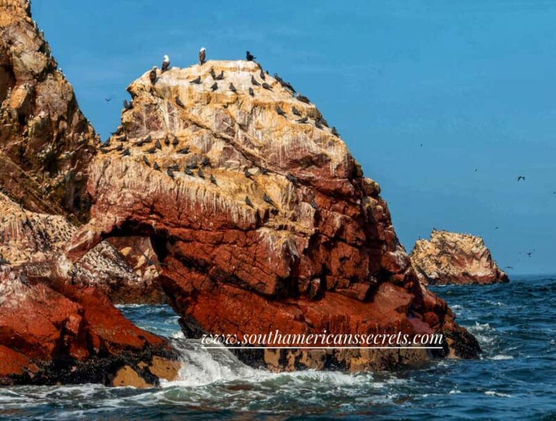 From Paracas: Ballestas Islands tour all Inclusive - Introduction: An Engaging Look at Paracas’s Wildlife Treasure