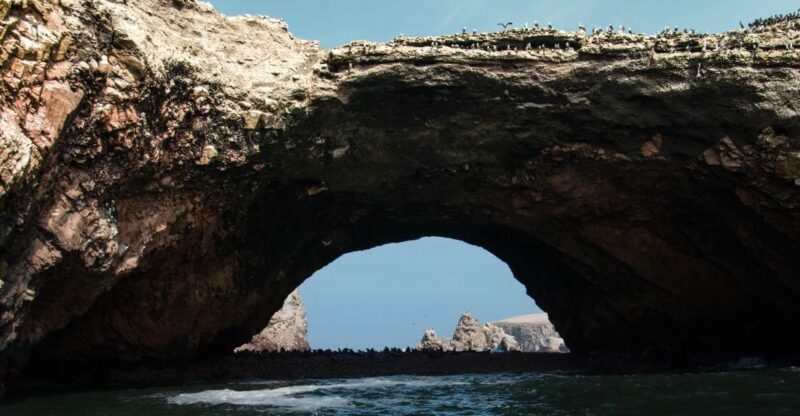 From Paracas: Ballestas Islands tour all Inclusive - Final Thoughts: Is This Tour for You?