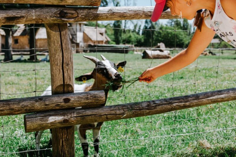 From Paris: Bike Tour to Versailles with Timed Palace Entry - Detailed Review of the Versailles Bike Tour