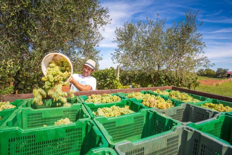 From Paris: Burgundy Region Winery Tour with Tastings - Frequently Asked Questions
