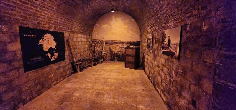 From Paris: Champagne Cellars and Vineyards Tour and Tasting - Authentic Experiences & Hidden Gems