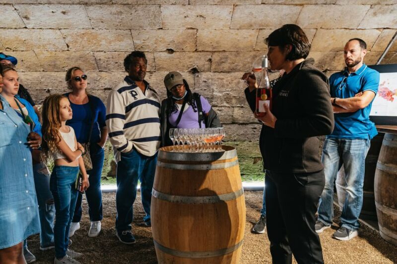 From Paris: Loire Valley Castles Day Trip With Wine Tasting - What Reviewers Have to Say