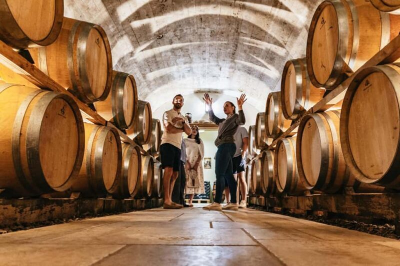From Paris: Private Sancerre Wine Tour w 10 Tastings & Lunch - A Full Breakdown of the Sancerre Experience