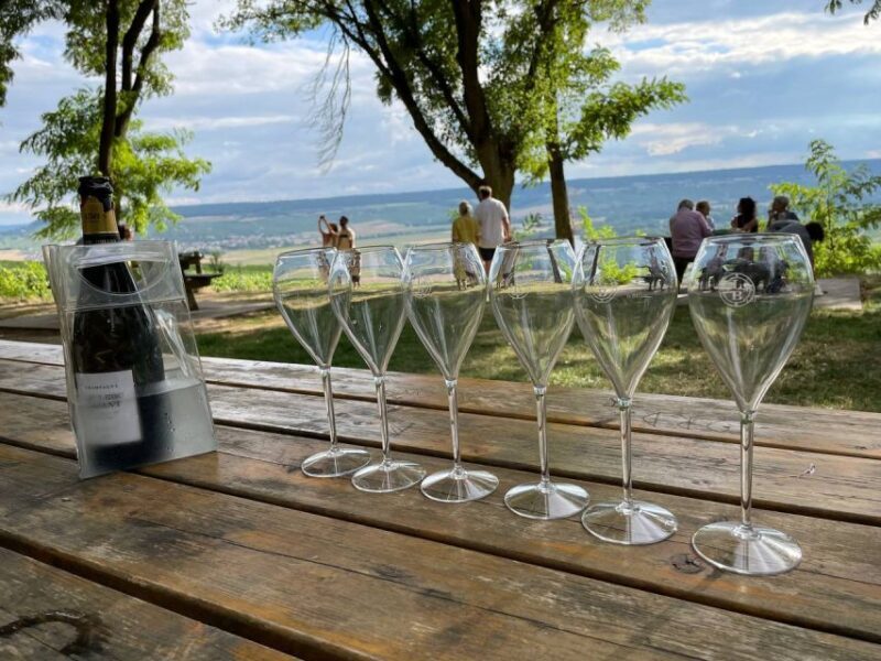 From Paris: Reims and Champagne Tasting Full-Day Tour - A Deep Dive Into the Champagne Day Trip from Paris