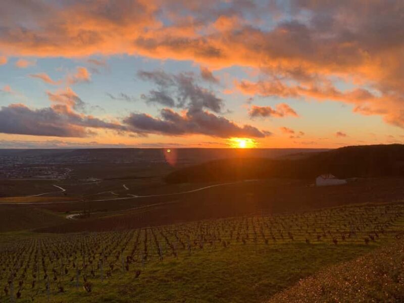 From Paris: Reims Cathedral, Champagne Cellar, and Tasting - Key Points