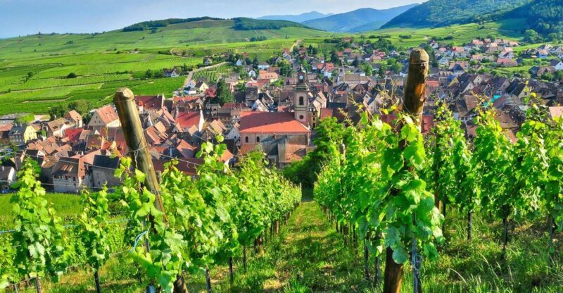 From Paris: Small-Group Champagne Day Trip with Six Tastings - Key Points