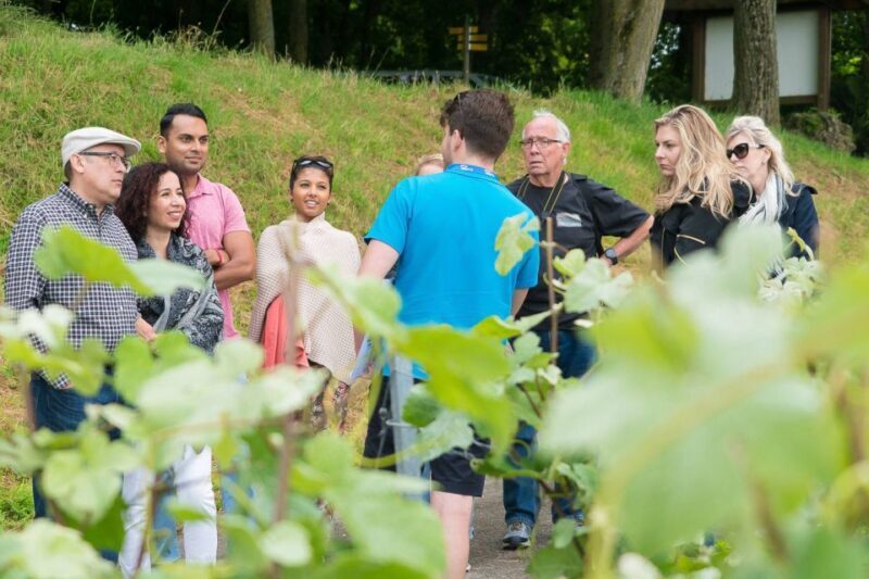 From Paris: Small-Group Champagne Day Trip with Six Tastings - Authenticity and Value