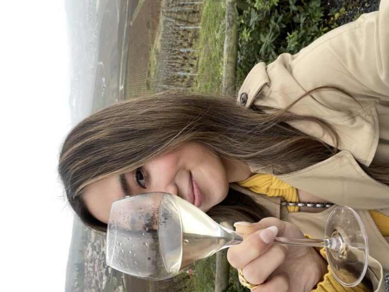 From Paris: Small-Group Champagne Tour with 3-Course Lunch - What Sets This Tour Apart