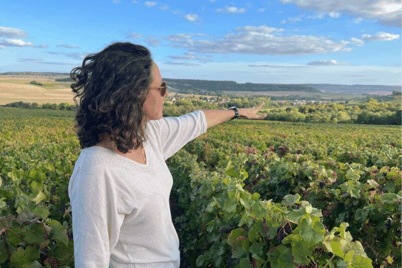 From Paris: Wine Day trip to SANCERRE w 10 Tastings & Lunch - A Deep Dive into the Sancerre Day Trip Experience