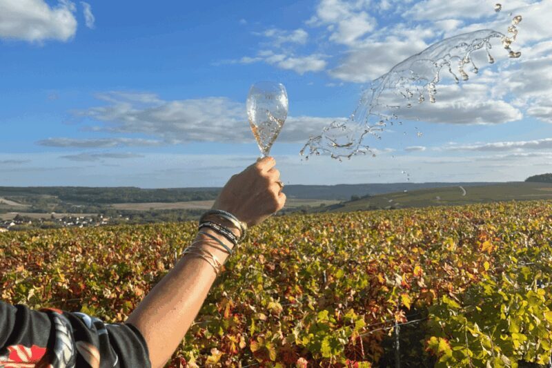 From Paris: Wine Day trip to SANCERRE w 10 Tastings & Lunch - Who Is This Tour Best Suited For?