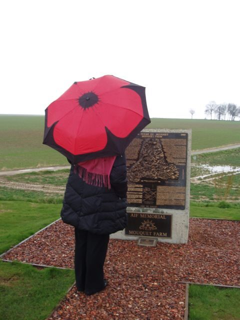 From Paris: WWI Somme Battlefields Full-Day Tour - Detailed Breakdown of the Experience