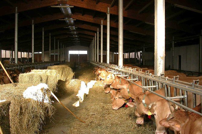 From Parma: Parmigiano Reggiano Farm Tour & Tasting with Transfer - FAQs