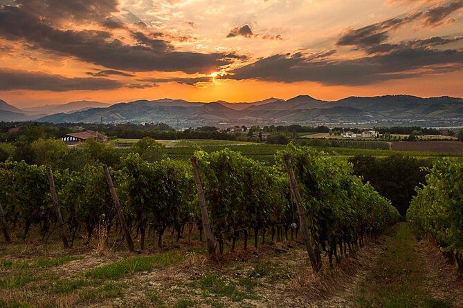 From Parma: Parmigiano,Prosciutto and winery Tour and tasting - FAQ