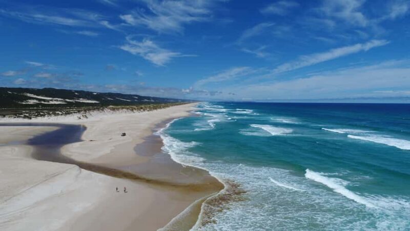 From Pemberton: Half-Day Beach and Forest Eco Adventure - Key Points