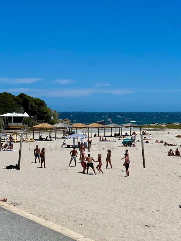 From Perth: Full-Day Guided Sightseeing Tour - Pricing and Value