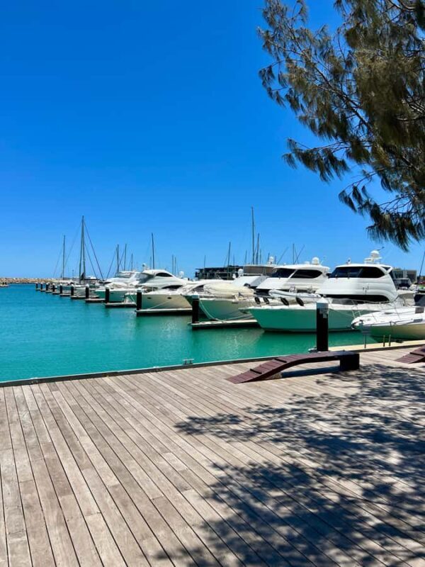 From Perth: Full-Day Guided Sightseeing Tour - Authentic Feedback from Travelers