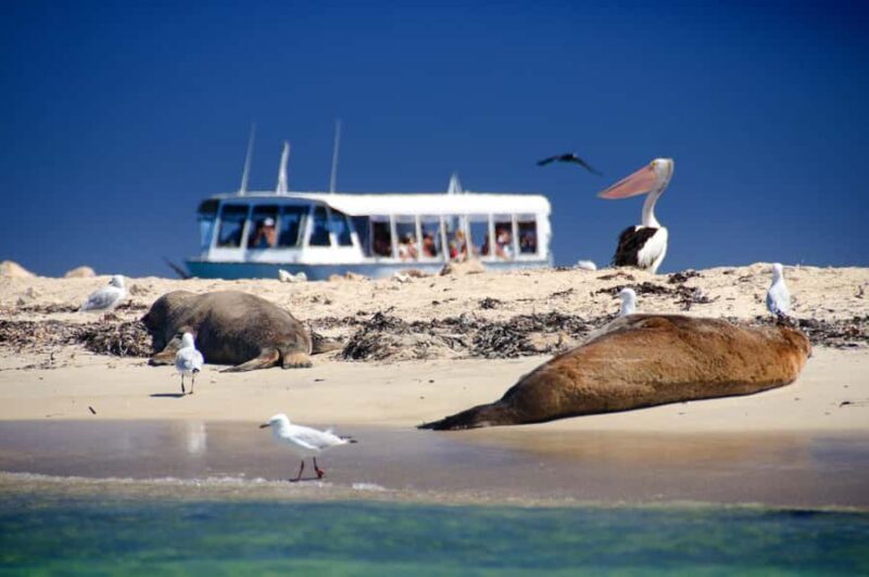 From Perth: Margaret River Wine Tour & Wildlife Cruise - Who Should Consider This Tour?