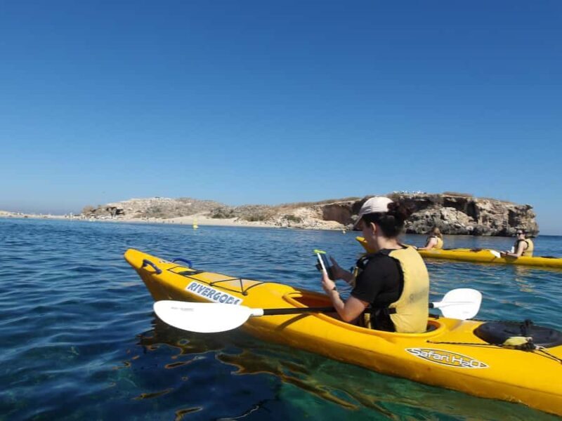 From Perth: Rockingham Seal & Penguin Islands Sea Kayak Tour - What’s Included and Worth Noting